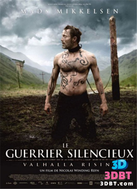 3D电影《维京英灵殿3D》左右格式 高清 百度网盘 下载 中文字幕